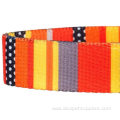 Professional Pet Adjustable Nylon Buckle Dog Collars